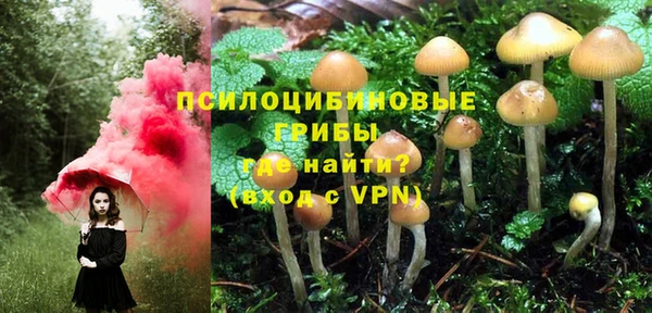 спиды Лиски