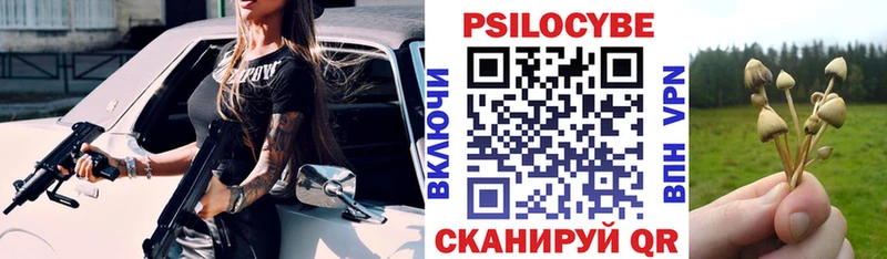 продажа наркотиков  Сокол  Псилоцибиновые грибы Cubensis 