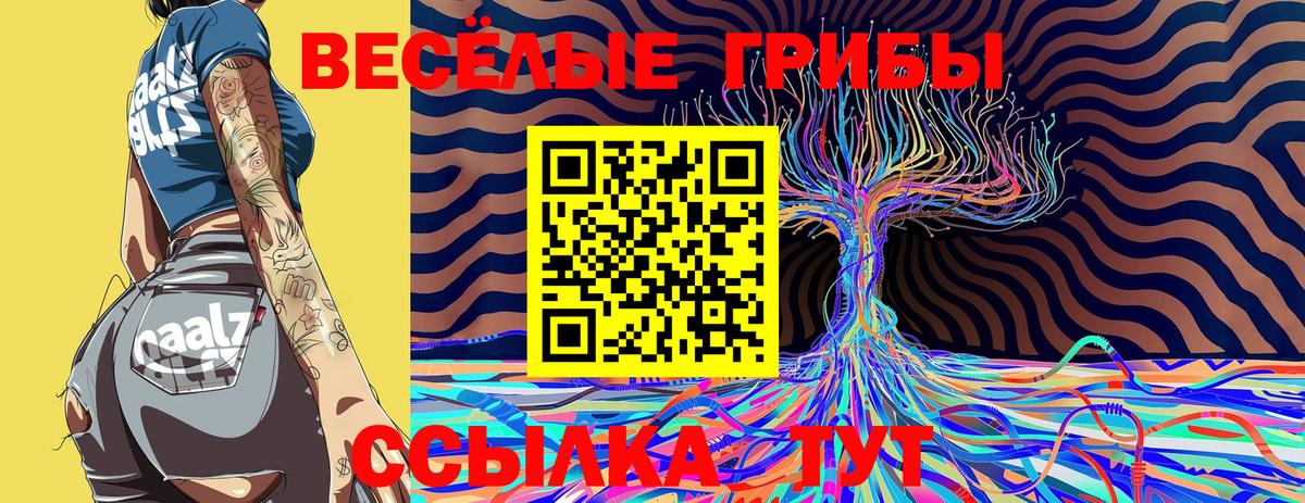 Псилоцибиновые грибы Magic Shrooms Сокол