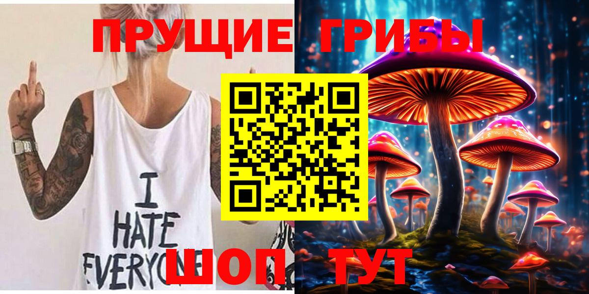 где найти   Вход с VPN  Сокол  Галлюциногенные грибы Cubensis 